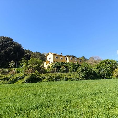 Mas Pitre Panzió Besalú Kültér fotó